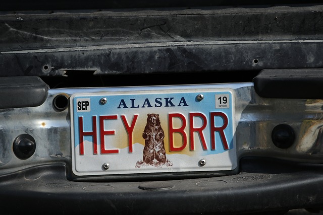 ‘Buddy Exemption’ gets a Thumbs Down from Alaska High Court