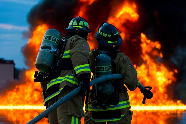 What are ‘Federal Employees in Fire Protection’?