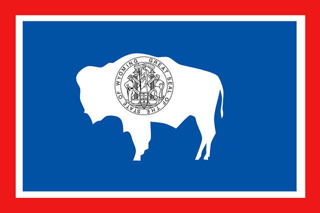 What are ‘Permanent Total Disability Benefits’ in Wyoming?